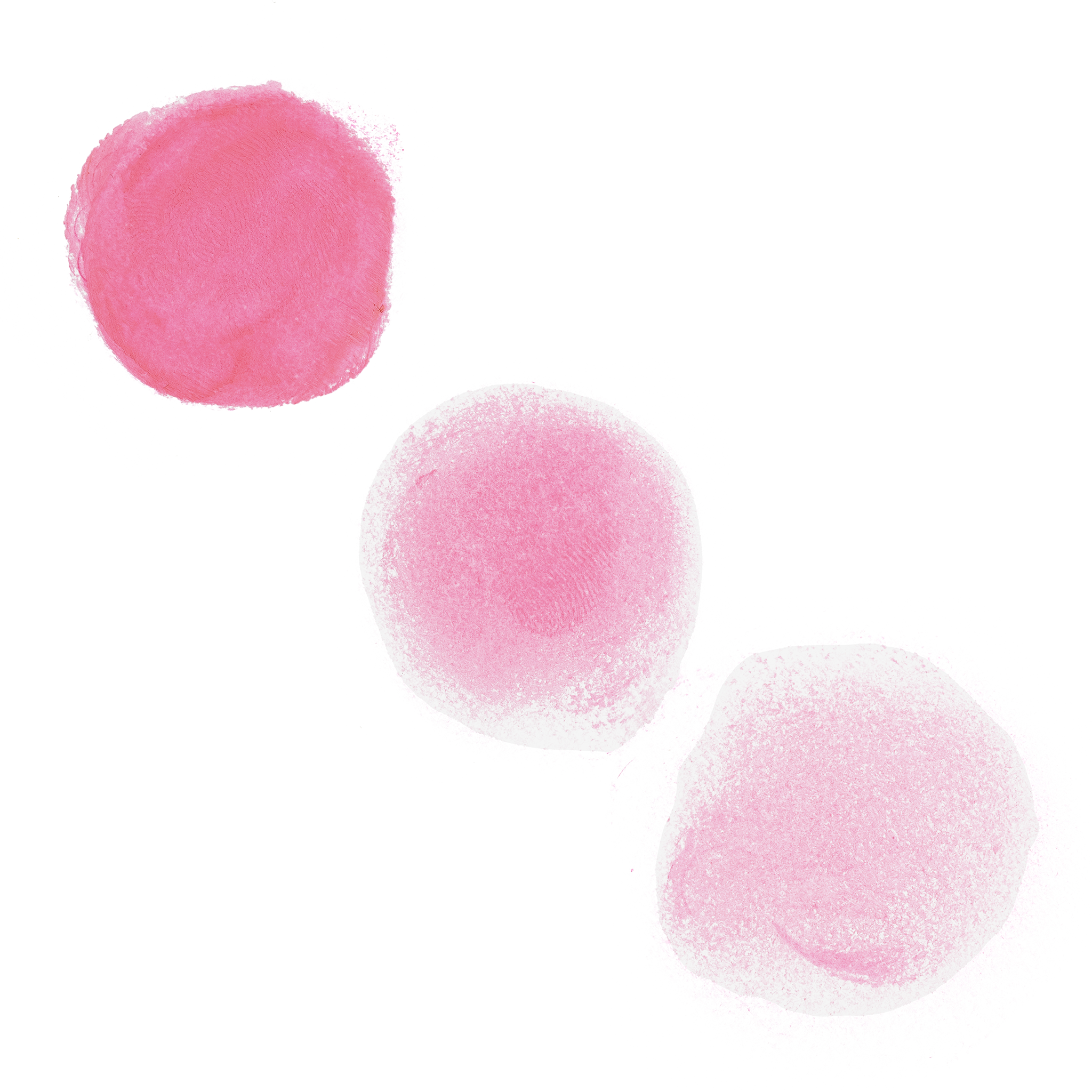 CREAM BLUSH - BUBBLEGUM - CB20